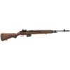 Springfield M1A .308 Win Semi-Auto Tactical Rifle, 22" Barrel, Blue - MA9102CA