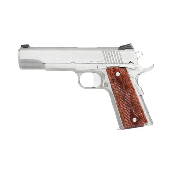 796459-Dan_Wesson_Razorback_10mm_Pistol_Stainless_01889