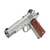 Dan Wesson Razorback 10mm Pistol, Stainless